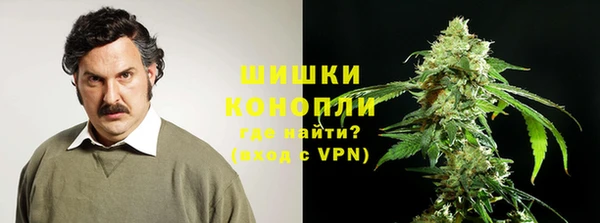 гидра Костерёво