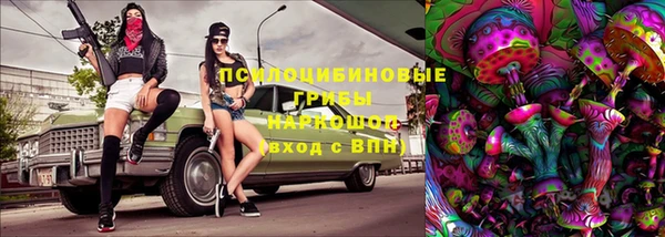гидра Костерёво