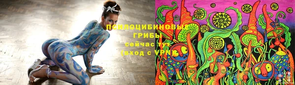 бошки Коряжма