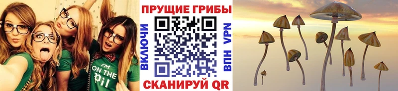 Псилоцибиновые грибы MAGIC MUSHROOMS  Купить где  Троицк 